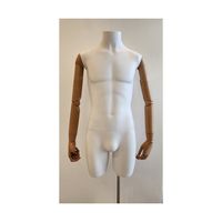 アズワン 紳士腕付きトルソー M 67-6609-41 1個（直送品）