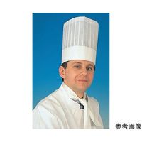 アズワン トックブランシュネオ(10枚入)H300mm 67-6899-17 1セット(10枚)（直送品）