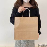 アズワン 手提紙袋 丸ヒモ 再生紙タイプ 幅32×奥行11.5×高さ31cm 50枚 67-6873-12 1セット(50枚)（直送品）
