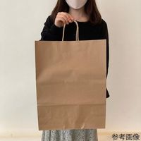 アズワン 手提紙袋 丸ヒモ 再生紙タイプ 幅38×奥行15×高さ50cm 50枚 67-6873-14 1セット(50枚)（直送品）