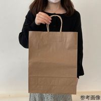 アズワン 手提紙袋 丸ヒモ 再生紙タイプ 幅32×奥行11.5×高さ41cm 300枚 67-6873-16 1セット(300枚)（直送品）
