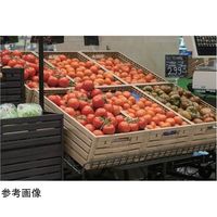 太幸 木目調 折りたたみコンテナー 600×400×H154mm 67-6884-13 1個（直送品）