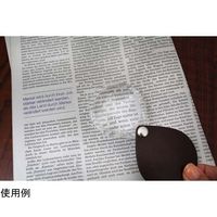 エッシェンバッハ光学ジャパン ハンディルーペ 3.5× 60mm径 ブラウン 1740460 1個 67-7106-17（直送品）