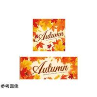 アズワン メイプルオータム 秋テーマポスター36×36cm 10枚 67-7118-69 1セット(10枚)（直送品）