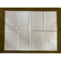 ステム オークレバッグライト(2重袋タイプ)LL ホワイト 1箱(100枚入) B6080WN 1箱(100枚) 65-5647-39（直送品）