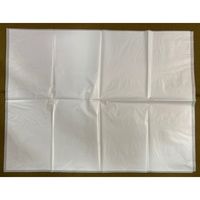 ステム オークレバッグライト(2重袋タイプ)LW ホワイト 1箱(100枚入) B5080WN 1箱(100枚) 65-8767-67（直送品）