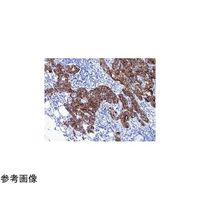 武藤化学 Newシラン4スターフロスト水縁磨(オレンジ) 100枚入 51761A 1個(100枚) 65-9082-31（直送品）