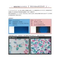 武藤化学 サイトキャッチスライド(グリーン) 20F 100枚入 51562C 1個(100枚) 65-9082-40（直送品）