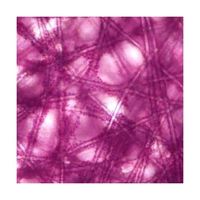 GVS 細胞培養基材 薄片状 120cm2/cm3 1箱(40ボトル入) CELCUFG090050S 1箱(40ボトル)（直送品）