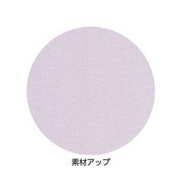 ケアファッション 婦人ラン型 ワンタッチシャツ(2枚組)ラベンダー 4L 97948 1組(2枚) 67-0321-69（直送品）