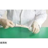 アイシス ディスポU字スパチュラ非滅菌タイプ 青PP製 33cmL 25mL 100個入 67-5203-42 1箱(100個)（直送品）