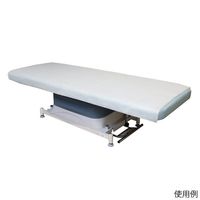 アズワン プロシェア・ディスポ防水診察台カバー 1袋(20枚入) 8-5901-11 1袋(20枚)（直送品）