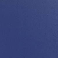 ノーリツイス メディカルソフトスツール(患者用) プラムブルー TSMN-W23BL 1個 7-3238-31（直送品）