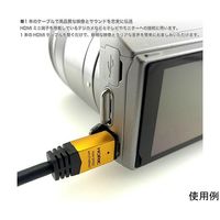 ホーリック ハイスピードHDMIミニケーブル 2.0m ゴールド タイプAオスータイプCオス HDM20-021MNG 1個（直送品）