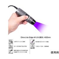 サンコー DinoーLite Edge M UV(紫外)400nm DINOAM4115FVT 1個 65-4351-51（直送品）