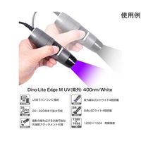 サンコー DinoーLite Edge M UV(紫外)400nm/White DINOAM4115TFVW 1個 65-4351-49（直送品）