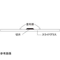 松浪硝子工業 スーパーパップペン 小 2本入 GMP0010 1袋(2本) 67-8066-49（直送品）