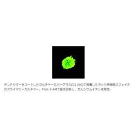 マツナミ カルチャーカバー No.1 13φ ノンコート 96枚入 C1100 1箱(96枚) 67-8063-99（直送品）