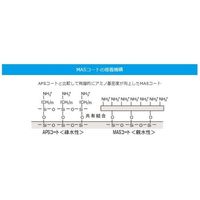 松浪硝子工業 MASコートスライド イエロー20 100枚入 MAS-12 1箱(100枚) 67-8066-98（直送品）