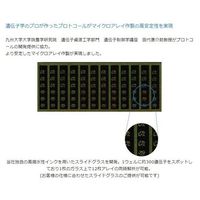 マツナミ DMSO対応スライドグラス 高密度化アミノ基導入コート 25.4×76.2×1.0mm 25枚入 SDM0011 1箱(25枚)（直送品）