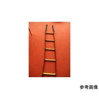 アズワン 槽内入出用ナイロンラダー 5m 67-9247-99 1セット（直送品）
