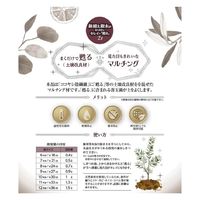 自然応用科学 鉢植え樹木がまくだけでキレイ+甦る 2L 2058305 1パック（直送品）
