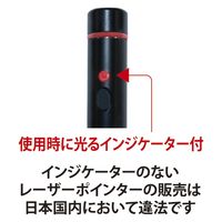 赤色レーザーポインター EM-16B 1本