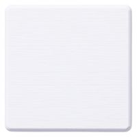 アサヒペン 溶岩石コースター ハードタイプ ホワイト YCH-01 1個（直送品）