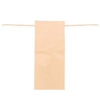 ホワイトバリーン クラフト紙製マチ付き精米袋 紐付き 10kg SKPB-r10k 1セット(200枚)（直送品）