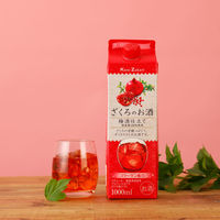 國盛 ざくろのお酒 梅酒仕立て パック　1L 1本 中埜酒造　リキュール