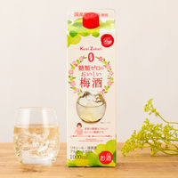 國盛 糖類ゼロのおいしい梅酒 パック　1L 1本 中埜酒造　梅酒