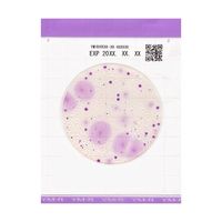 キッコーマンバイオケミファ Easy Plate 真菌(カビ・酵母)数測定用(25枚/袋×4袋入) YMーR 61977 1箱(100枚)（直送品）