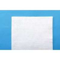 Ciメディカル 不織布ガーゼ 25×25cm 4枚重ね 200枚入 63-4157-71 1パック(200枚)（直送品）