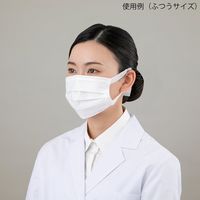 瑞光メディカル サージカルSHIPマスク やや小さめ 30枚入 SHIP0003 1箱(30枚) 9-1124-02（直送品）