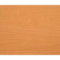 パネフリ工業 フローリング補修材 パネシート ライトビーチ PS-003 LB 1巻 63-7914-14（直送品）