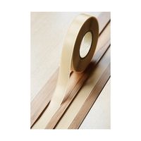 パネフリ工業 戸すべりテープ 18mm・21mm併用タイプ 3.8m PLE11261HV038 1巻 63-7914-55（直送品）