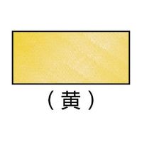 大日製罐 引締用PPバンド 19mm 青 SS-19-B 1巻 61-2795-98（直送品）