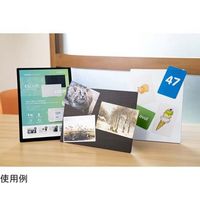 クリエイティブテクノロジー ESCLIPボード A4サイズ Aタイプ木目調 CT-EC03-WD-03-A 1台 65-0597-21（直送品）