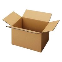 セッツカートン 無地ダンボール厚手 No.4ー2(底面LL)10枚 WF NO4-2/10マイイリ 1パック(10枚) 65-0372-66（直送品）