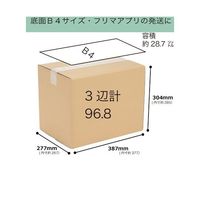 紺屋商事 段ボール 100サイズ 20枚入 01150101 1束(20枚) 65-3905-26（直送品）
