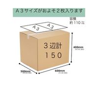 紺屋商事 段ボール 160サイズ 10枚入 01150161 1束(10枚) 65-3905-29（直送品）