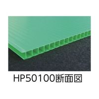 国盛化学 プラダン サンプライHP40060 3×6板ブラック HP40060-BL 1枚 61-8787-87（直送品）