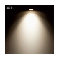 アズワン 配線ダクト用スポットライト 温白色 DSLー4780AW 68-0588-49 1個（直送品）