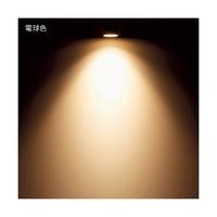 アズワン 配線ダクト用スポットライト 電球色 DSLー4780YW 68-0588-50 1個（直送品）