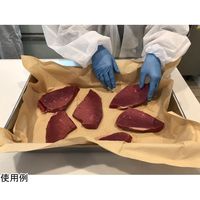 大王製紙 ドリップペーパーエコック 510×600mm 無漂白 250枚×4パック入 21000200 1箱(4パック)（直送品）