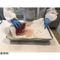 大王製紙 ドリップペーパーエコック 410×600mm 250枚×4パック入 21000197 1箱(4パック) 68-0812-56（直送品）