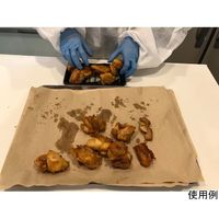 大王製紙 ドリップペーパーエコック 300×410mm 250枚 無漂白×8パック入 21000198 1箱(8パック)（直送品）