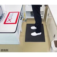 エー・エム・プロダクツ クラウン ゼドラン(TM) コンフォートキングスプリーム K42418BK 1枚 68-0587-78（直送品）