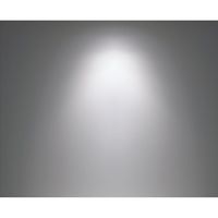 アズワン 配線ダクト用LEDスポットライト(CDMーTC70W相当)白色 ERS4299WB 68-0588-39 1個（直送品）