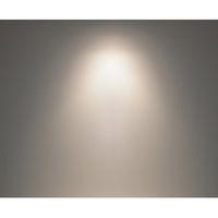 アズワン 配線ダクト用LEDスポットライト(CDMーTC70W相当)温白色 ERS4330WB 68-0588-40 1個（直送品）